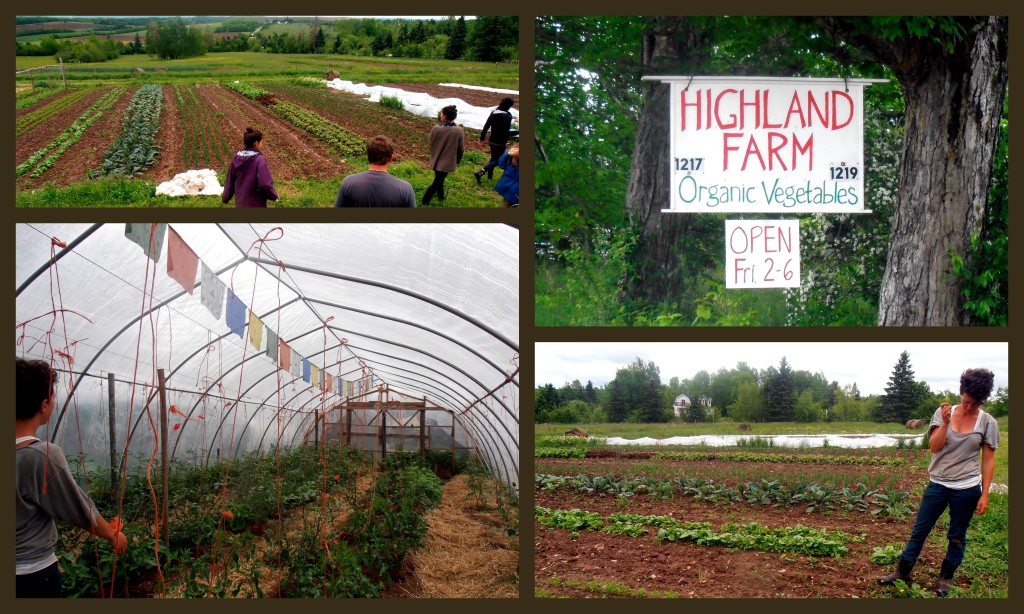 Highland Farm
