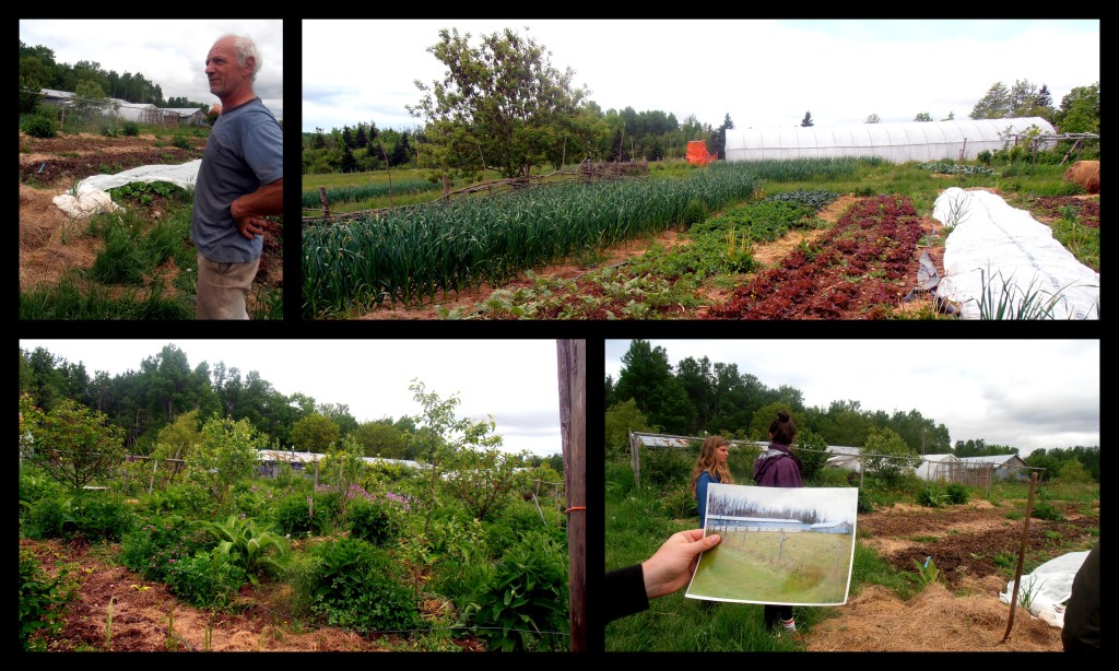 Motheroak Permaculture