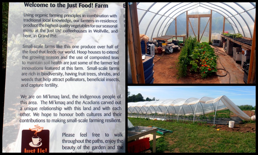 Just Food! Farm