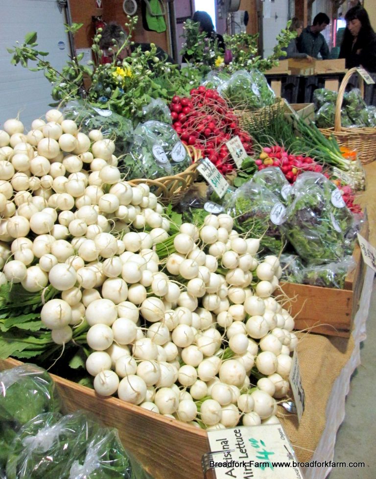 organic vegetables Dieppe