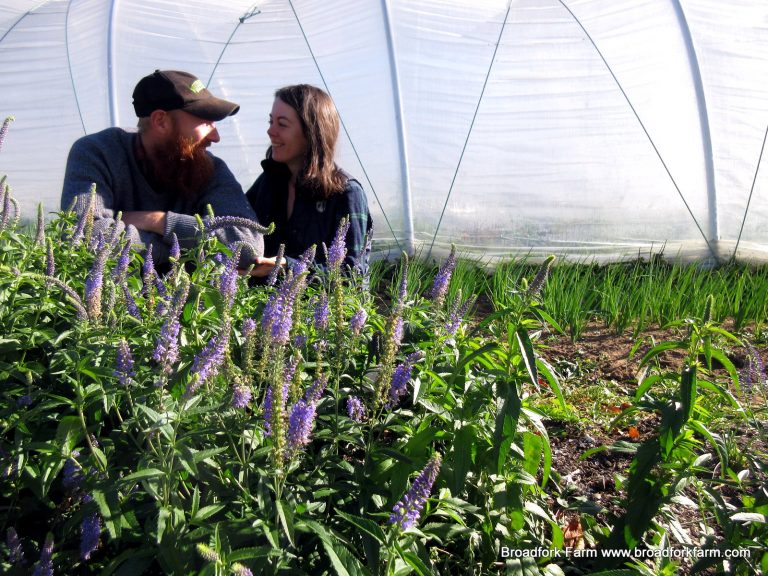young farmers
