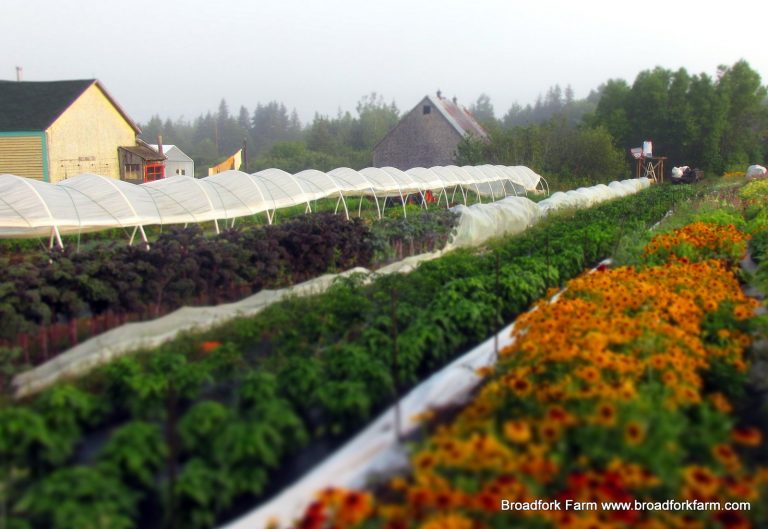 organic farm