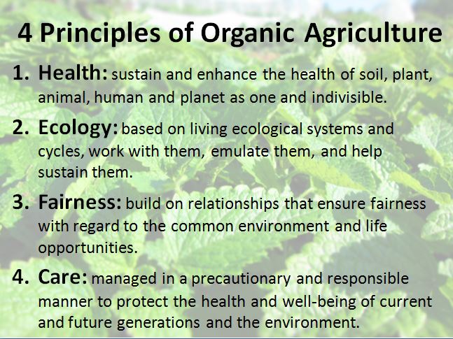 Principles of Organic