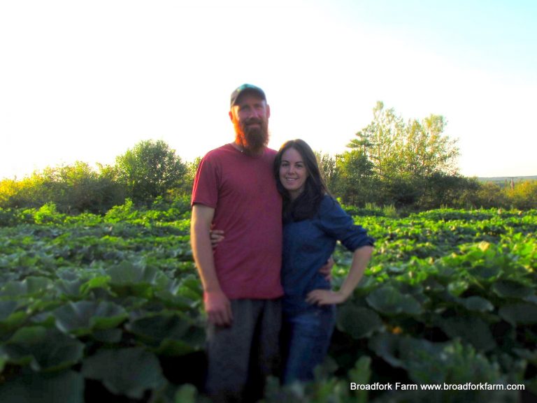 organic farmers in a squash field
