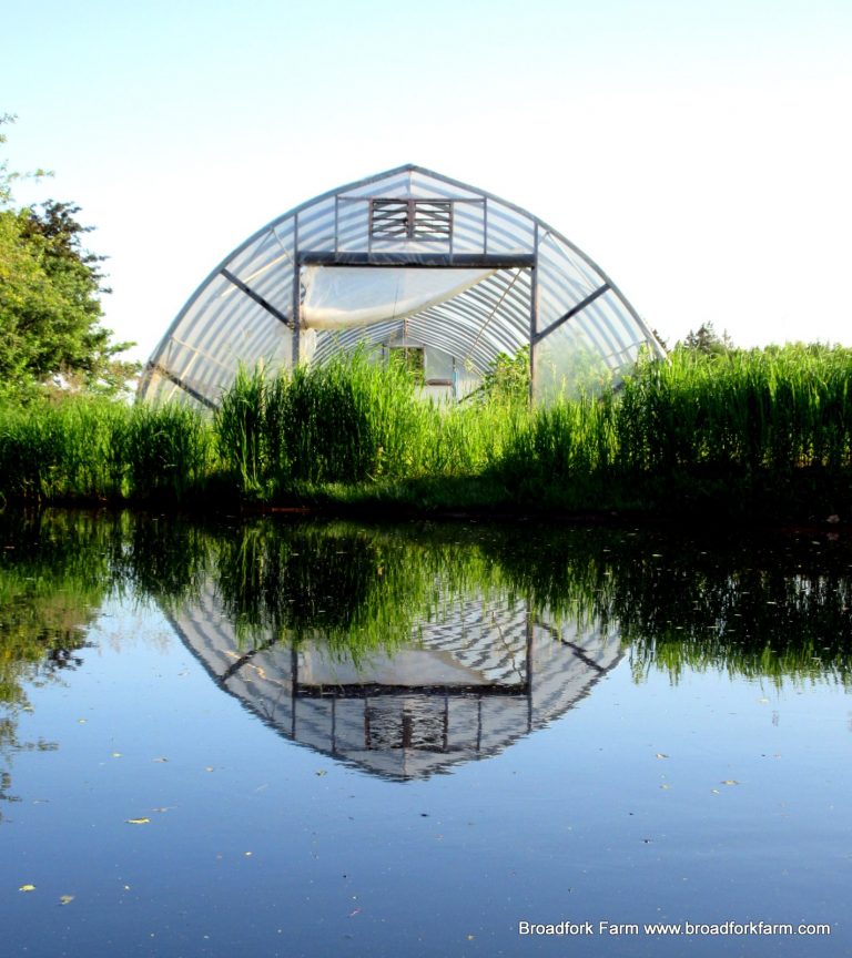 high tunnel and pond