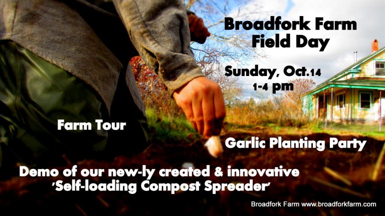 field day poster