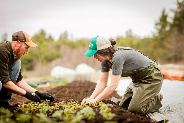 farmers planting