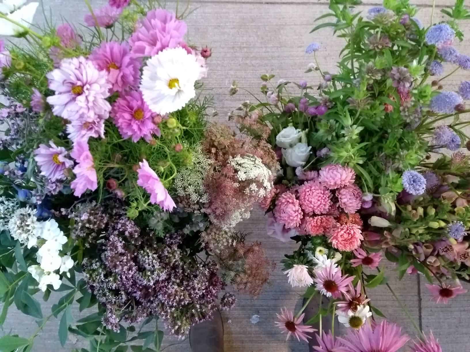 DIY WEDDING FLOWERS ~ Bulk Buckets — BLOOM WNC ~ Farmer, Florist